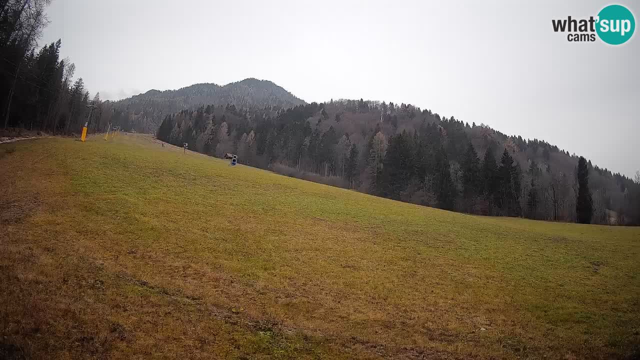 RTC Skigebiet Kranjska Gora | Brsnina