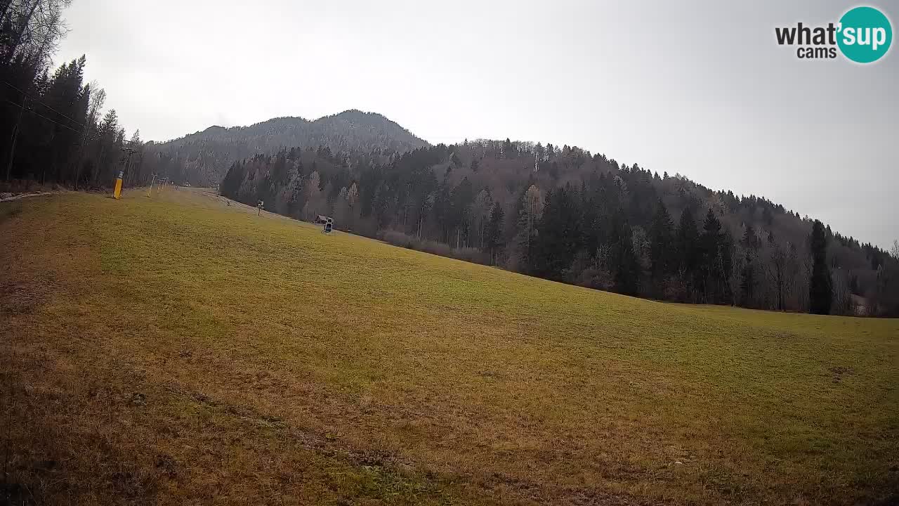RTC Skigebiet Kranjska Gora | Brsnina