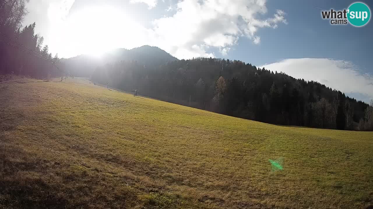 RTC Kranjska Gora | Brsnina