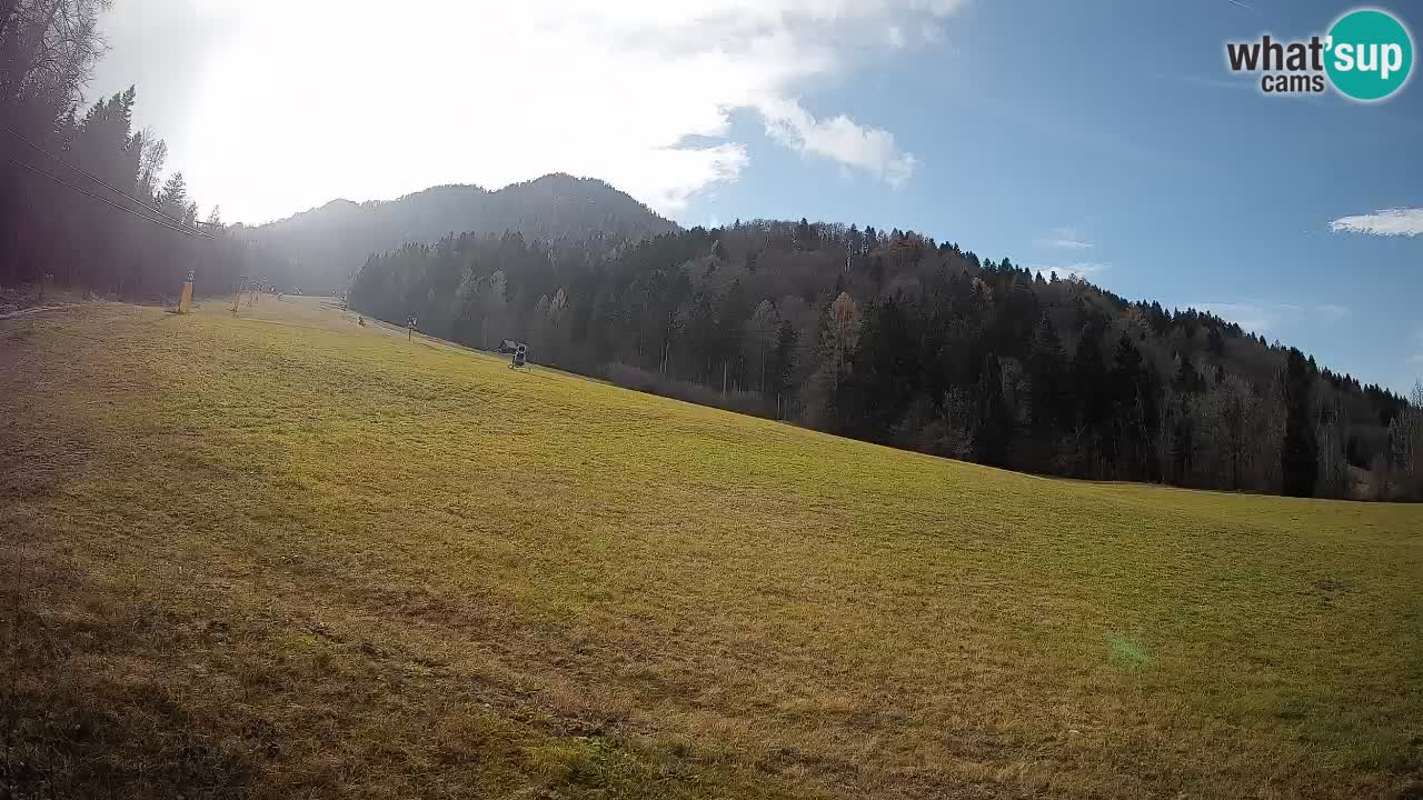 Comprensorio sciistico Kranjska Gora | Brsnina