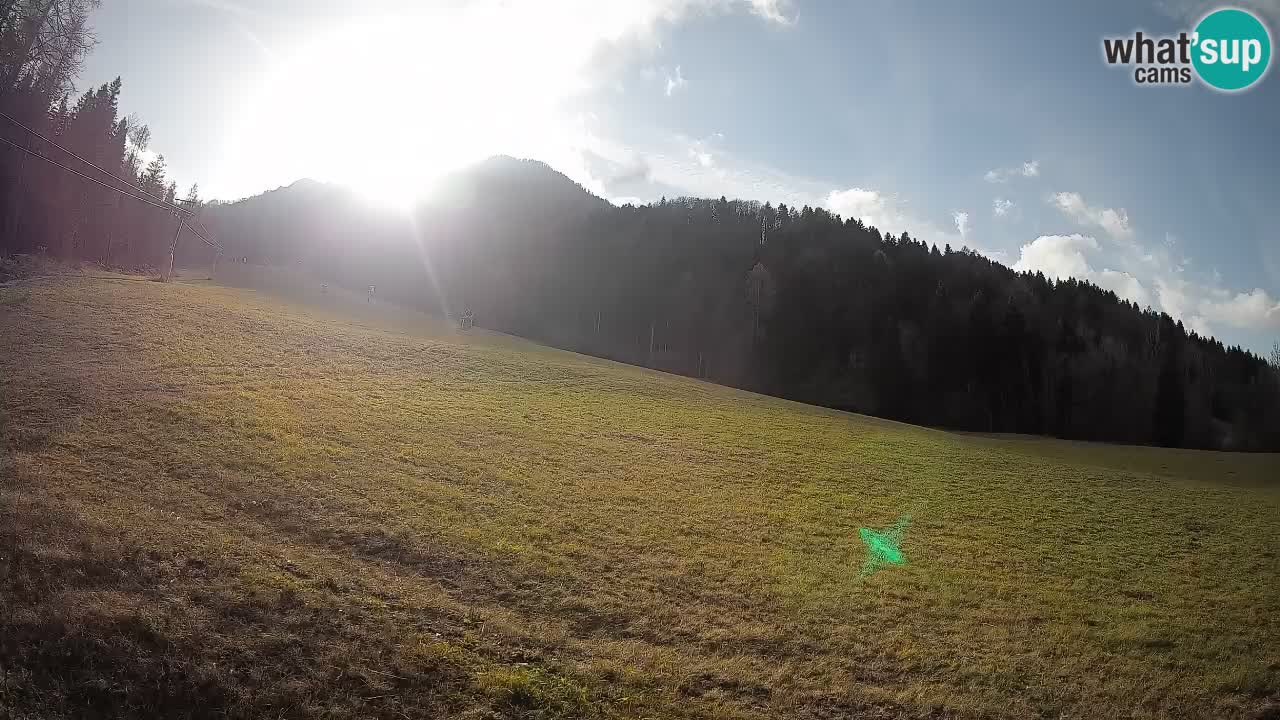 Comprensorio sciistico Kranjska Gora | Brsnina