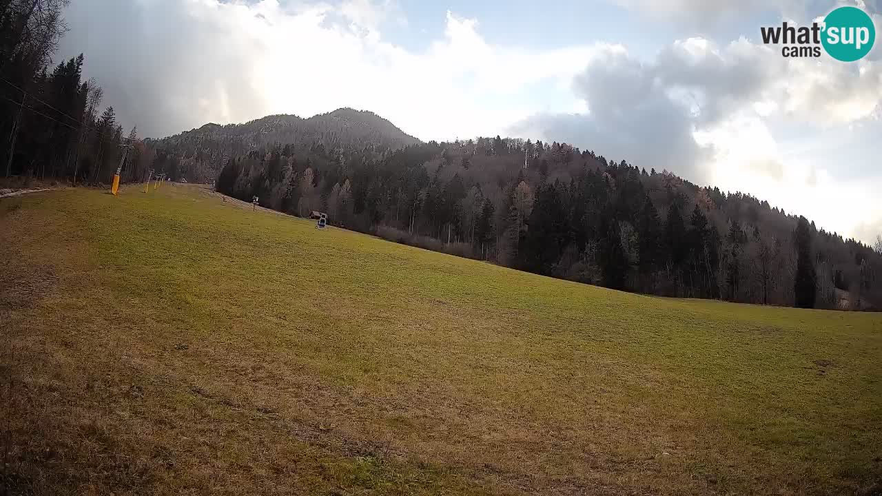 Kranjska Gora Station de ski | Brsnina