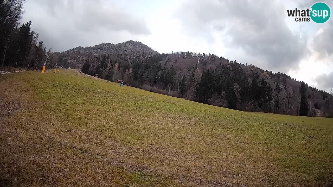 Kranjska Gora SKIJANJE | Brsnina