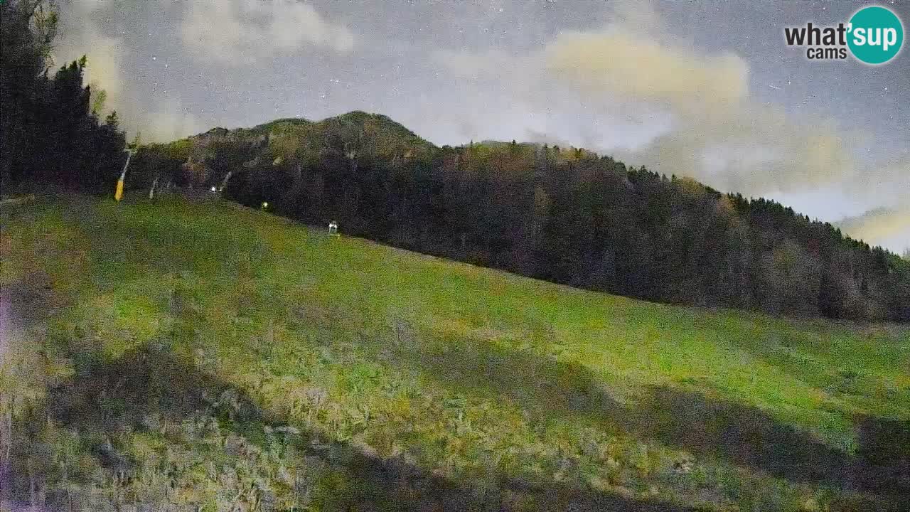 RTC Skigebiet Kranjska Gora | Brsnina