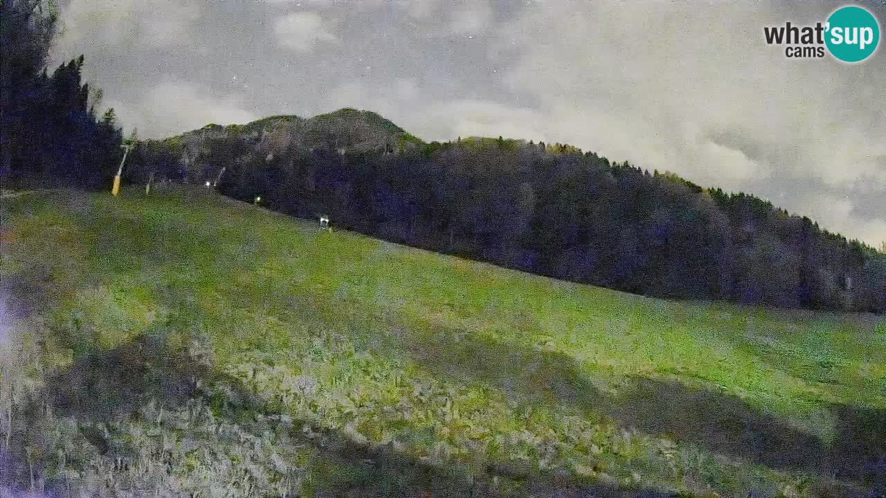 Comprensorio sciistico Kranjska Gora | Brsnina