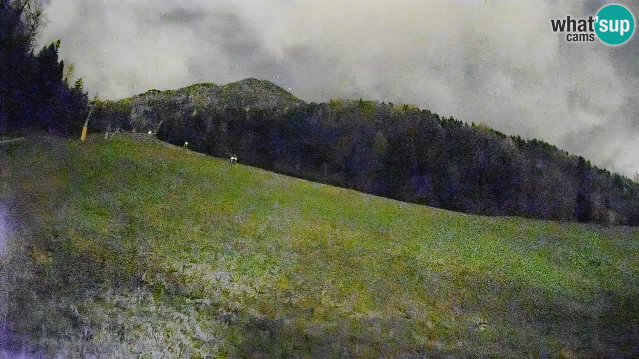 Esquí Kranjska Gora | Brsnina