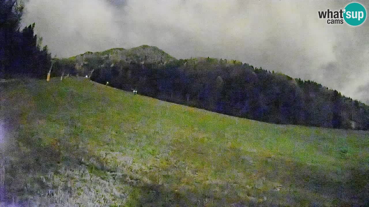 Comprensorio sciistico Kranjska Gora | Brsnina