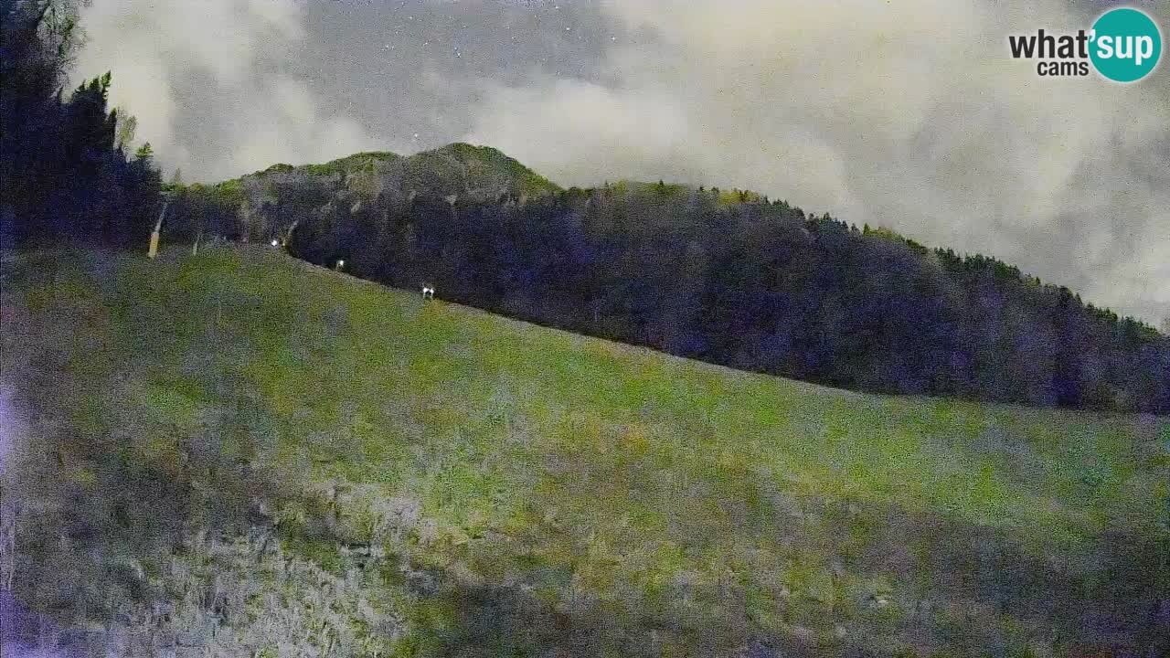 Comprensorio sciistico Kranjska Gora | Brsnina