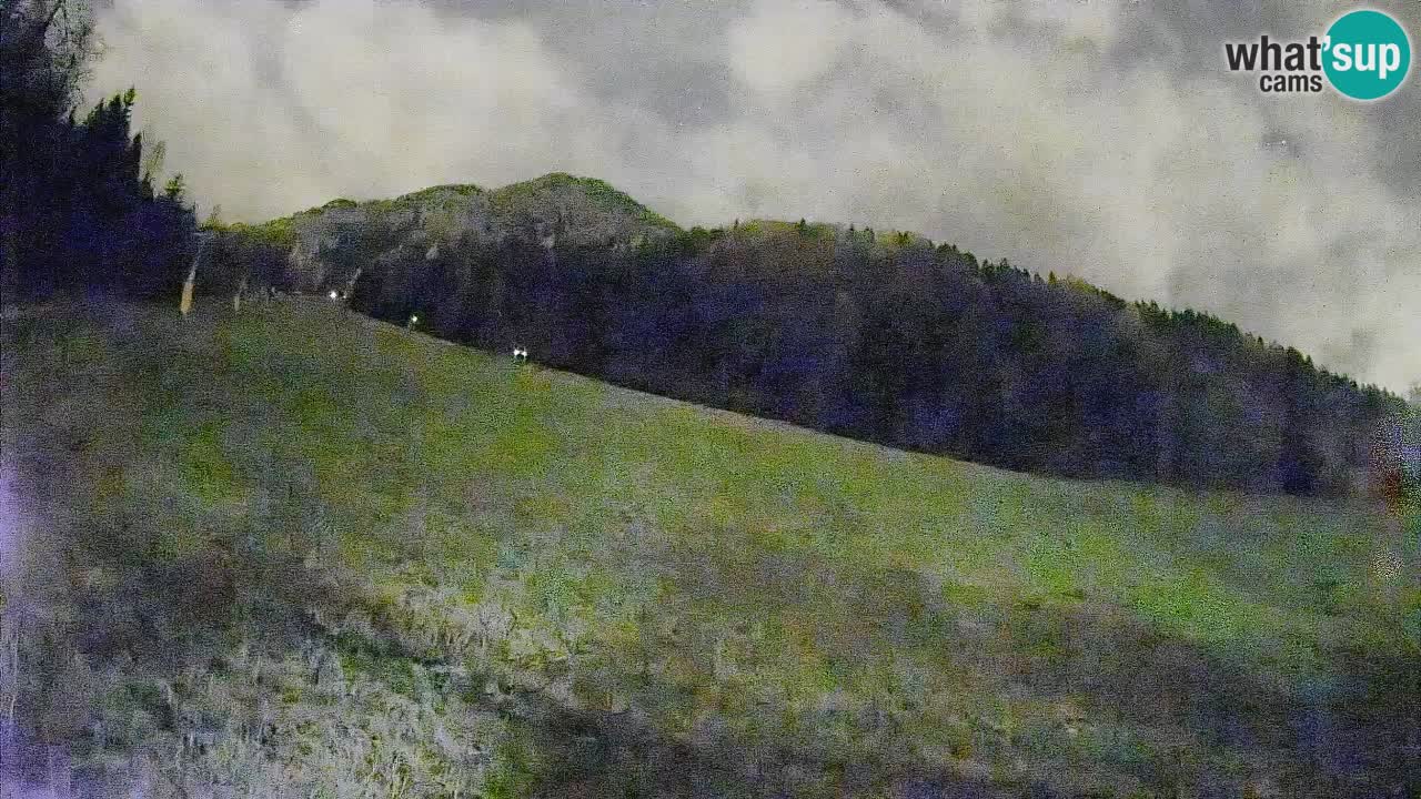 Kranjska Gora Station de ski | Brsnina