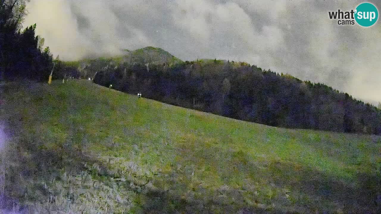 Comprensorio sciistico Kranjska Gora | Brsnina