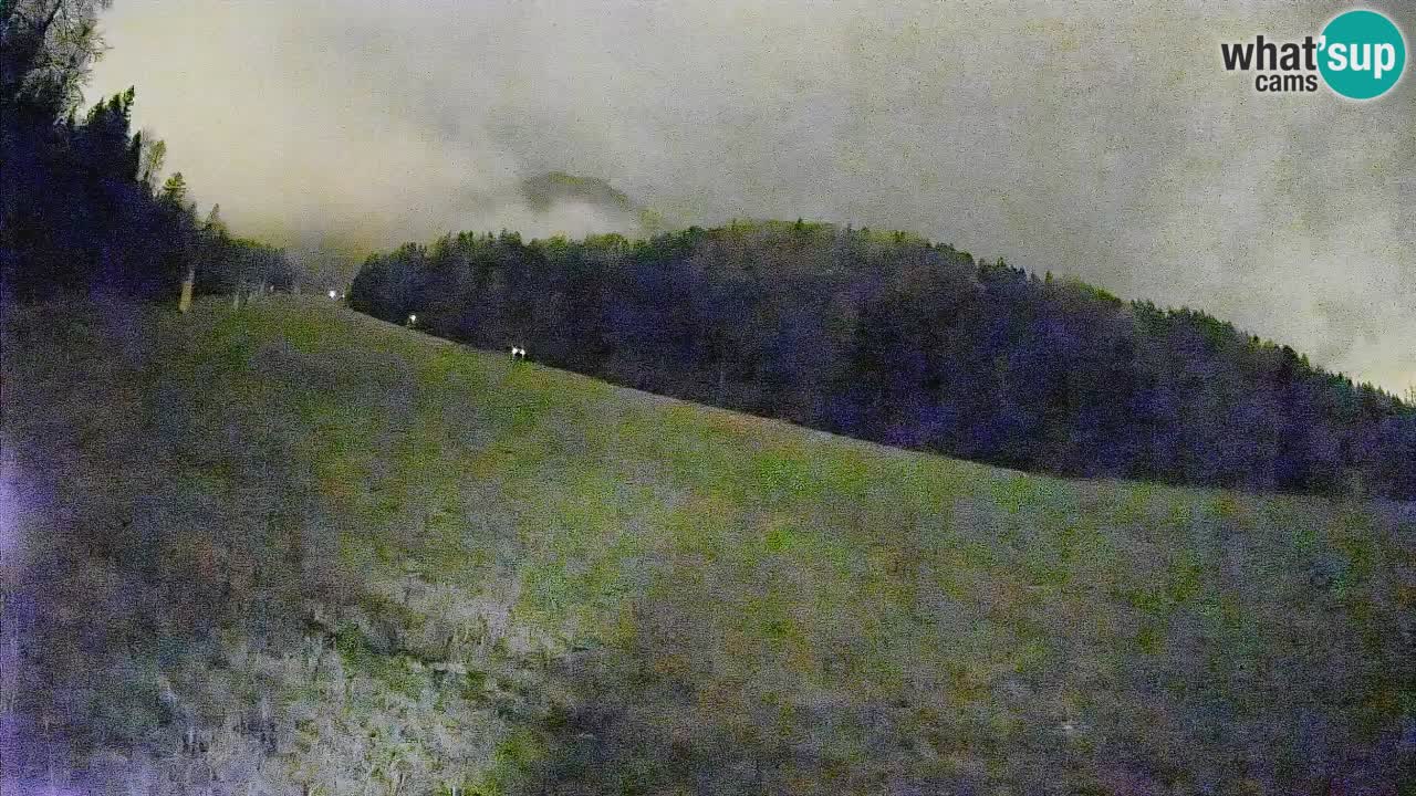 RTC Skigebiet Kranjska Gora | Brsnina