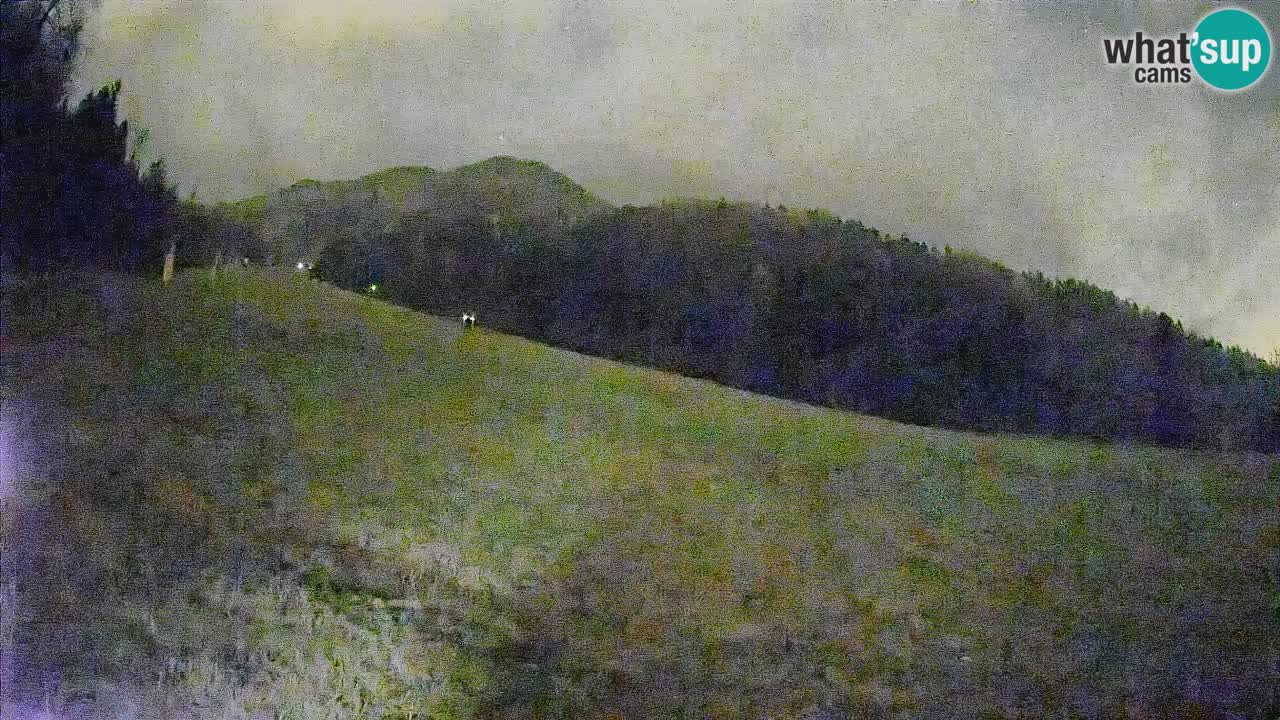 RTC Skigebiet Kranjska Gora | Brsnina