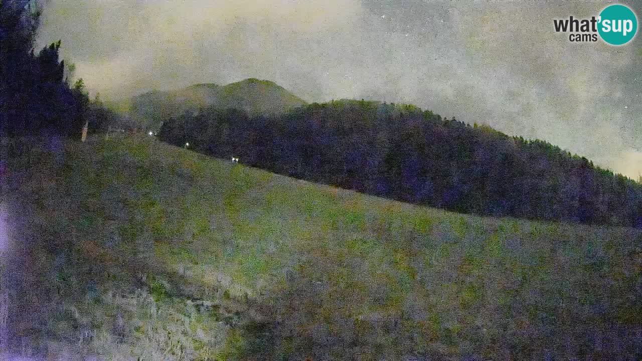 RTC Skigebiet Kranjska Gora | Brsnina