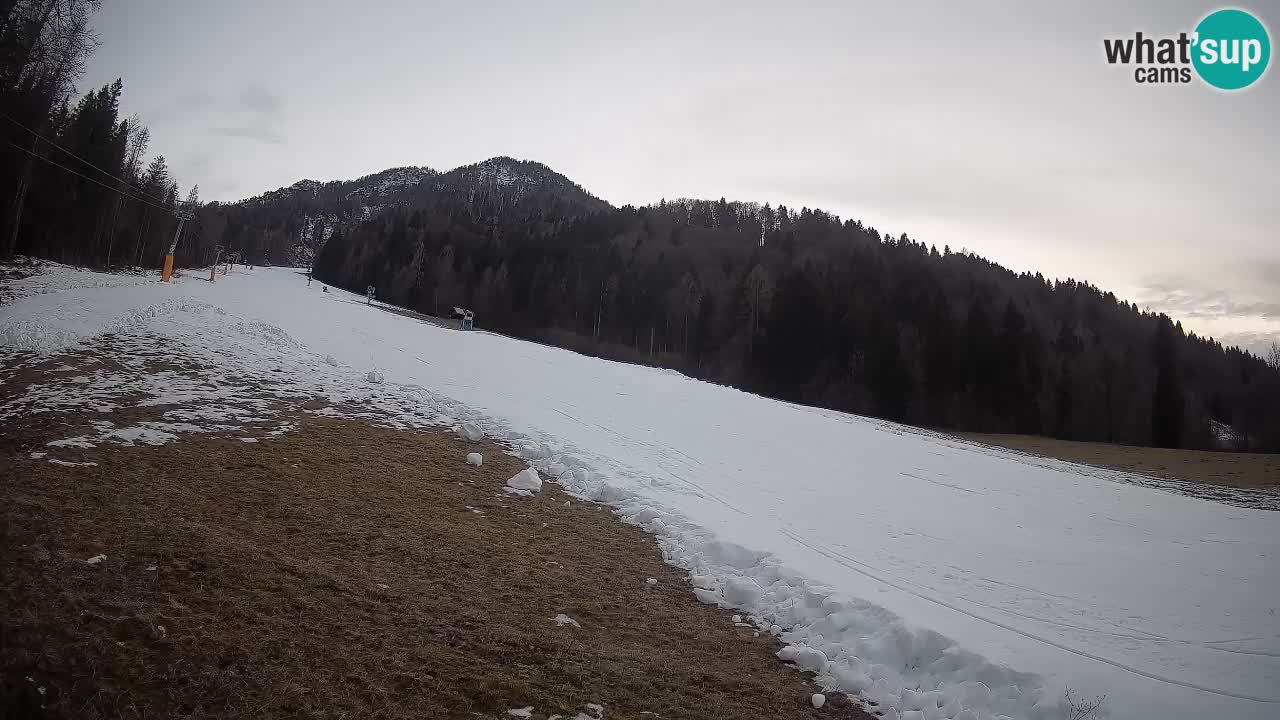 Ski Kranjska Gora | Brsnina