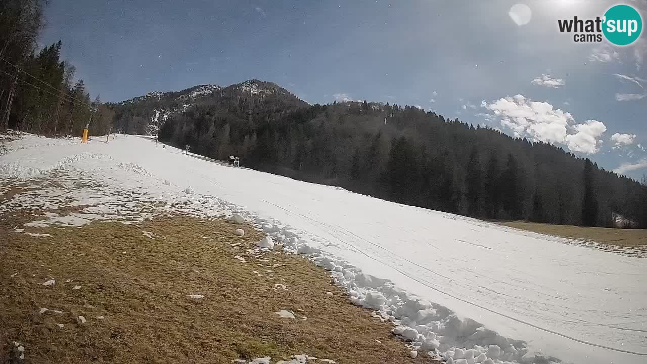 RTC Kranjska Gora | Brsnina