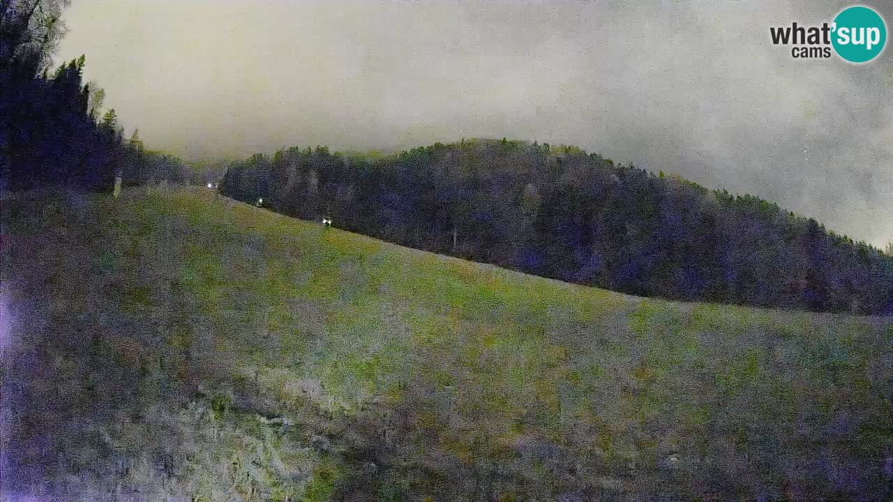 RTC Kranjska Gora | Brsnina