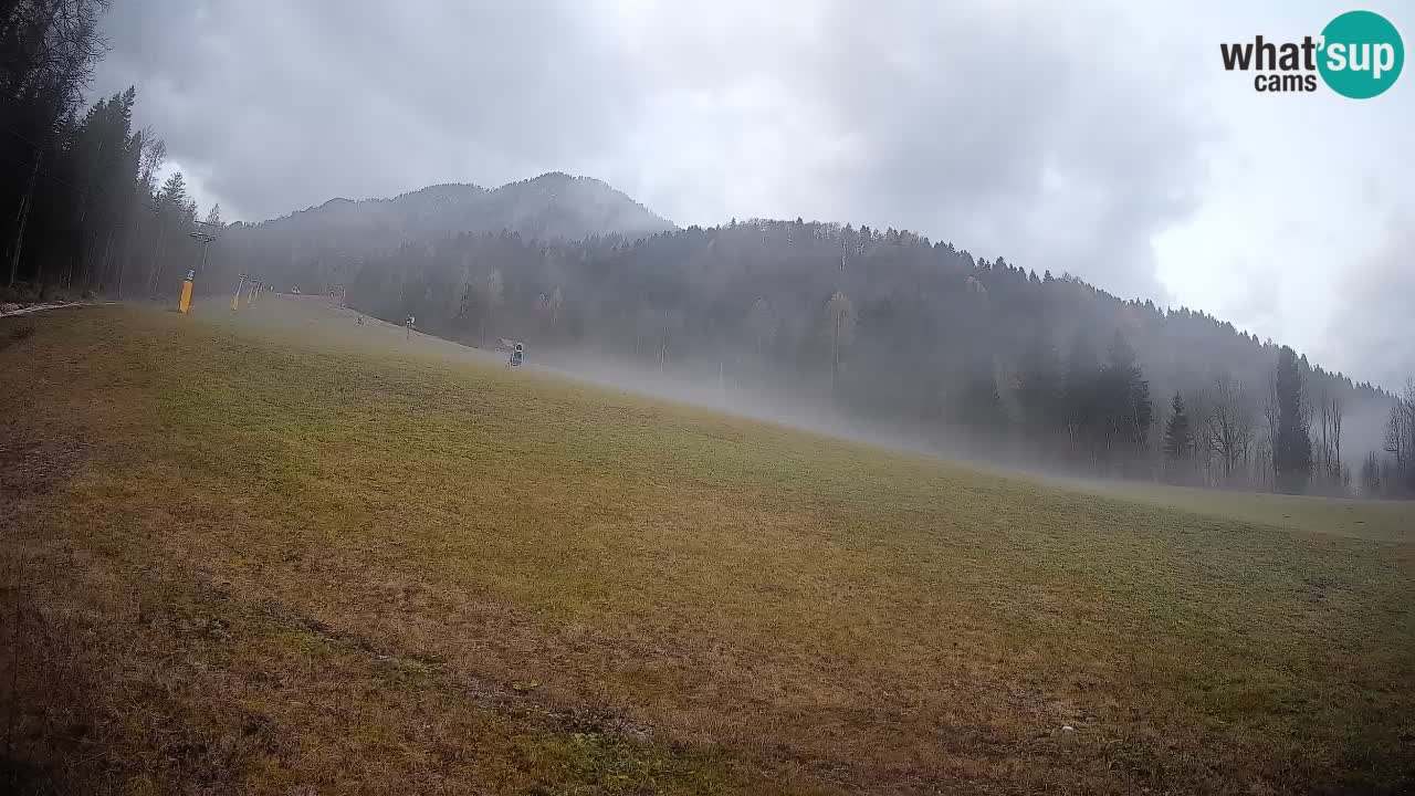 RTC Kranjska Gora | Brsnina
