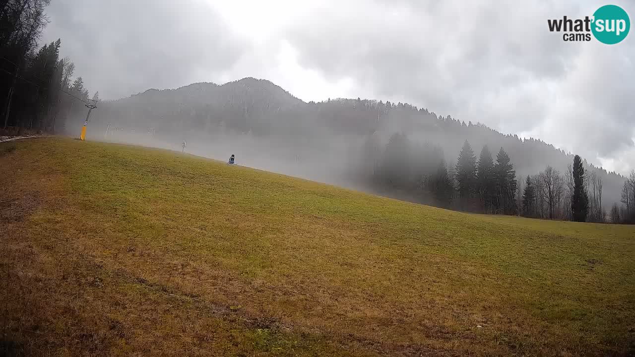 Esquí Kranjska Gora | Brsnina