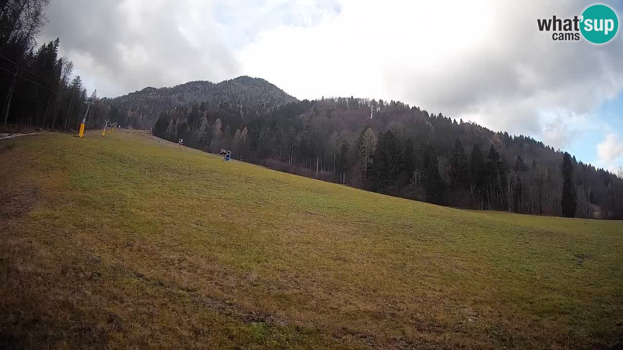 RTC Kranjska Gora | Brsnina