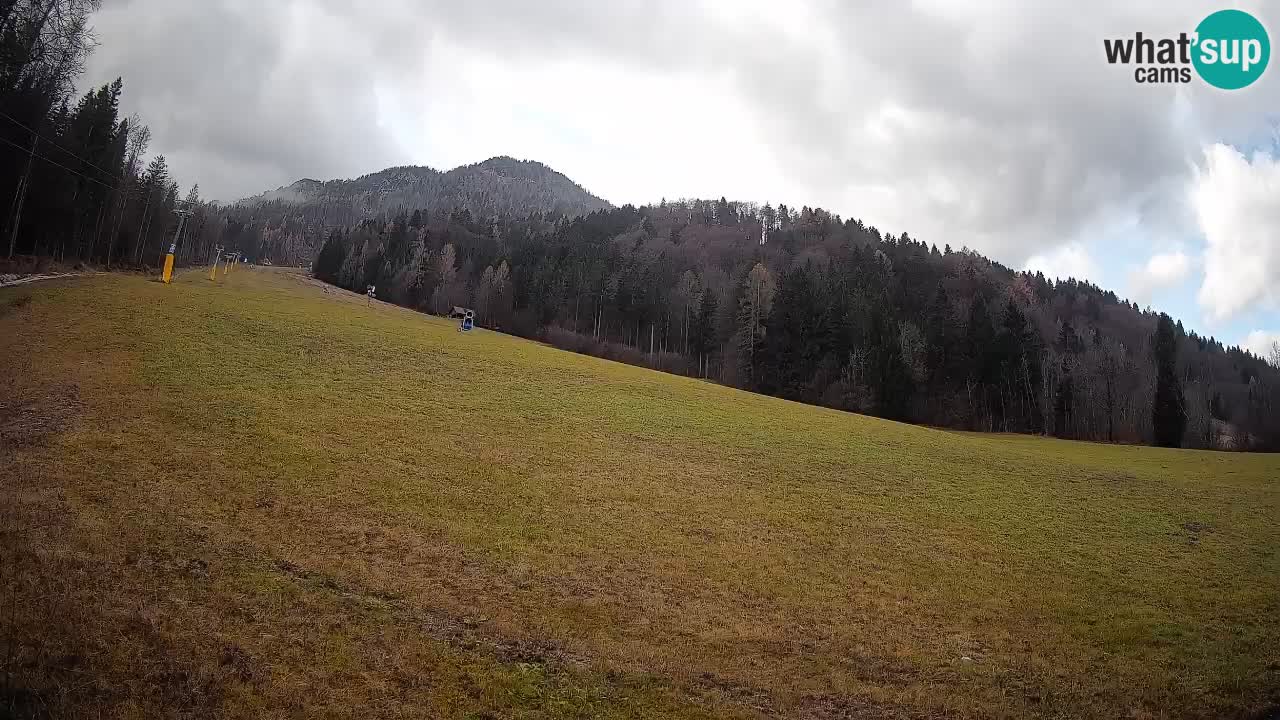 Comprensorio sciistico Kranjska Gora | Brsnina