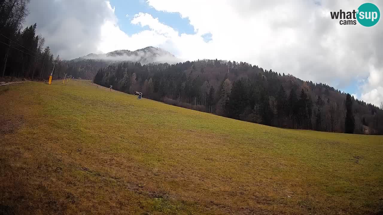 Comprensorio sciistico Kranjska Gora | Brsnina