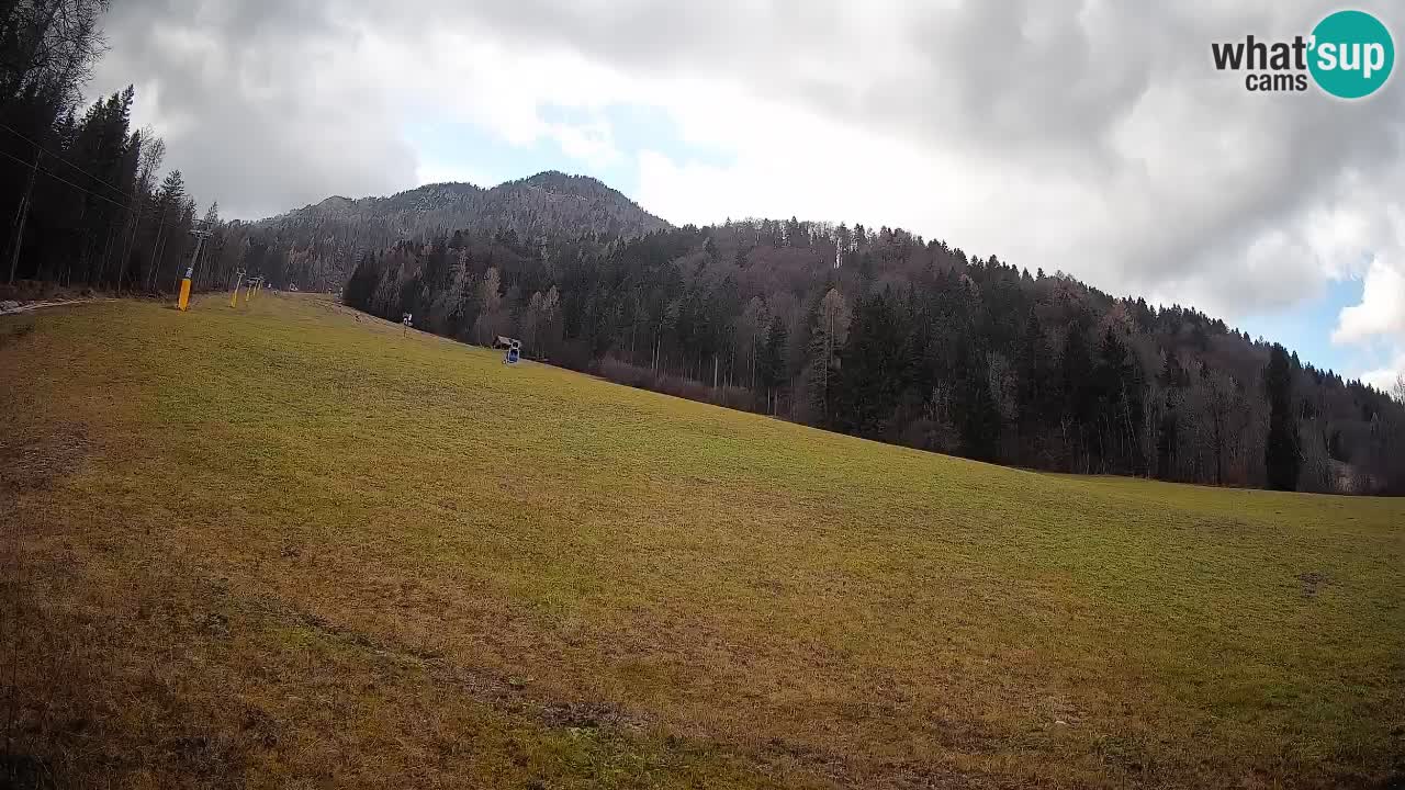 RTC Skigebiet Kranjska Gora | Brsnina