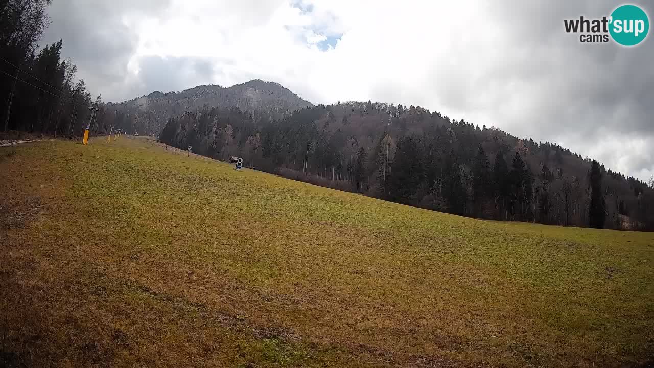 RTC Skigebiet Kranjska Gora | Brsnina