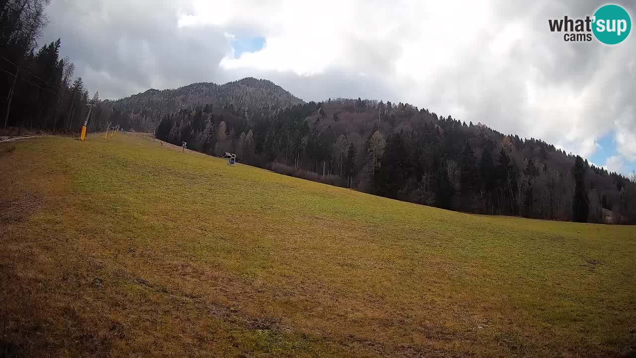 Kranjska Gora SKIJANJE | Brsnina