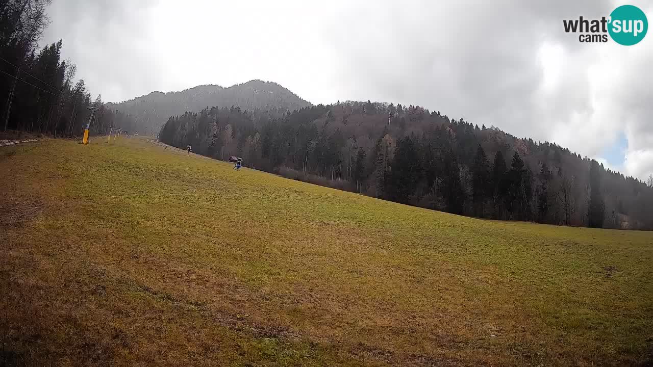 Ski Kranjska Gora | Brsnina