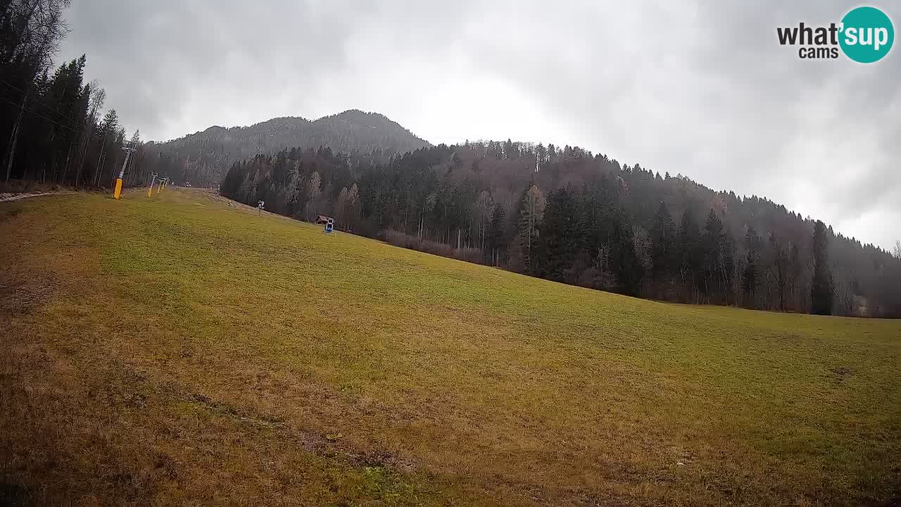 Esquí Kranjska Gora | Brsnina
