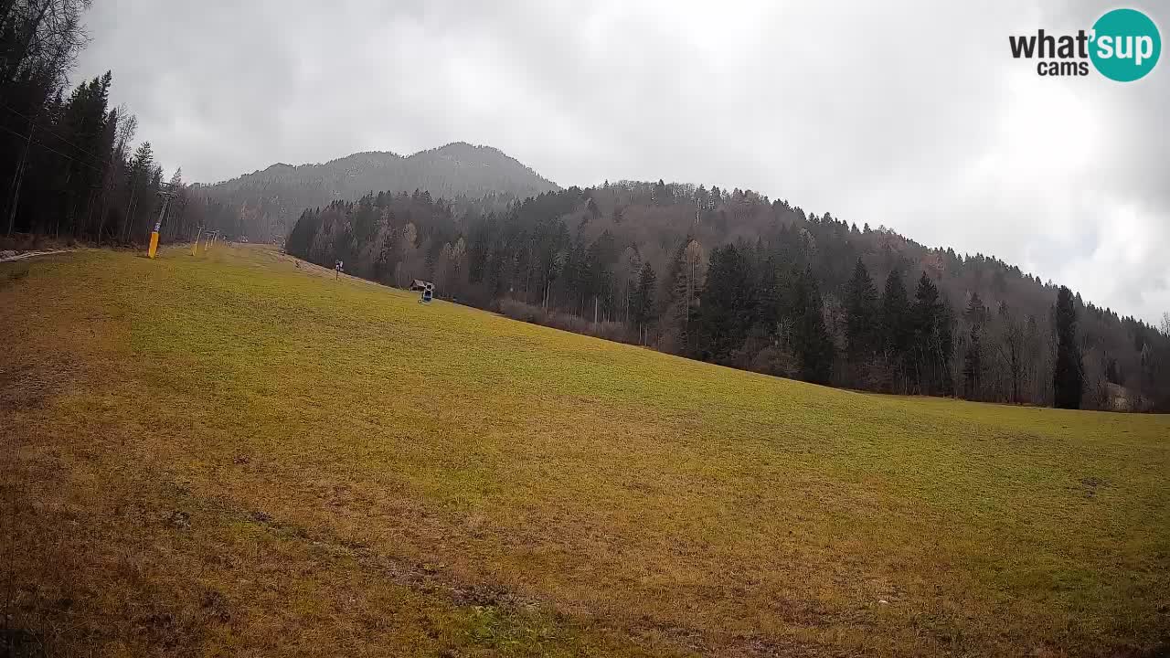 RTC Skigebiet Kranjska Gora | Brsnina
