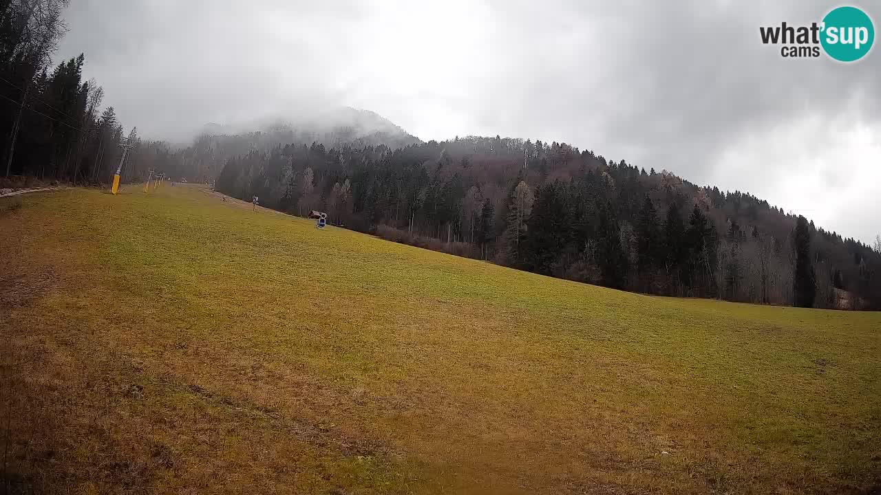 Ski Kranjska Gora | Brsnina