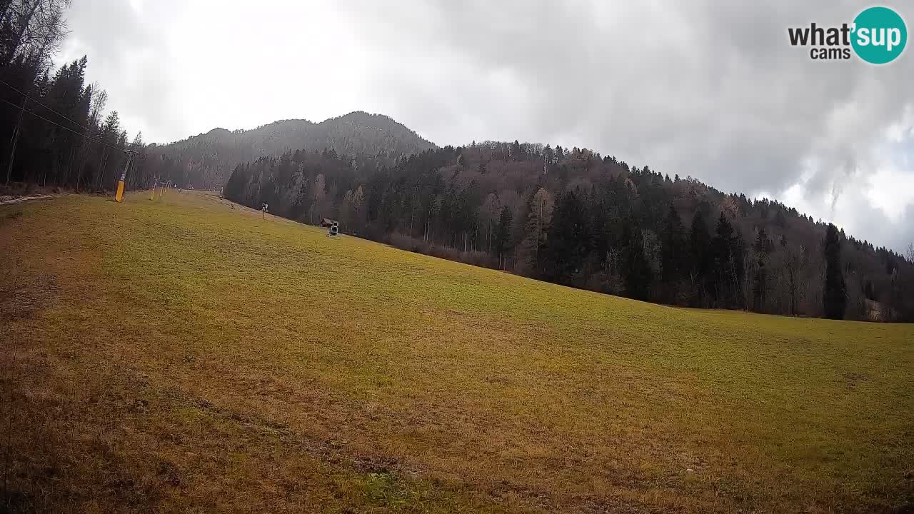 RTC Skigebiet Kranjska Gora | Brsnina
