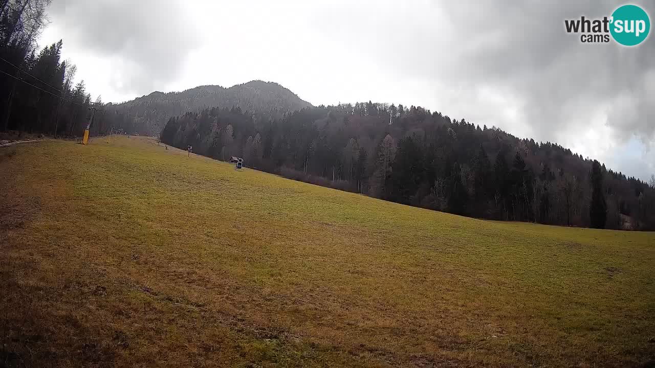 Ski Kranjska Gora | Brsnina