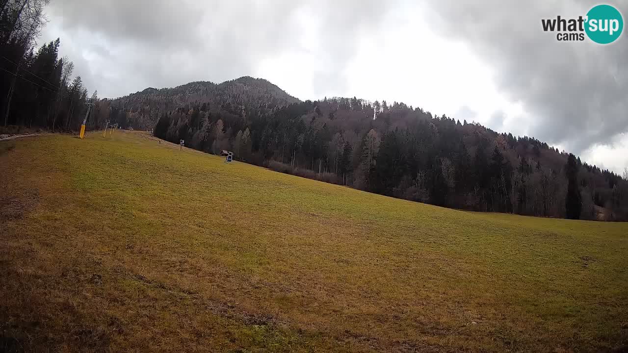 Kranjska Gora Station de ski | Brsnina