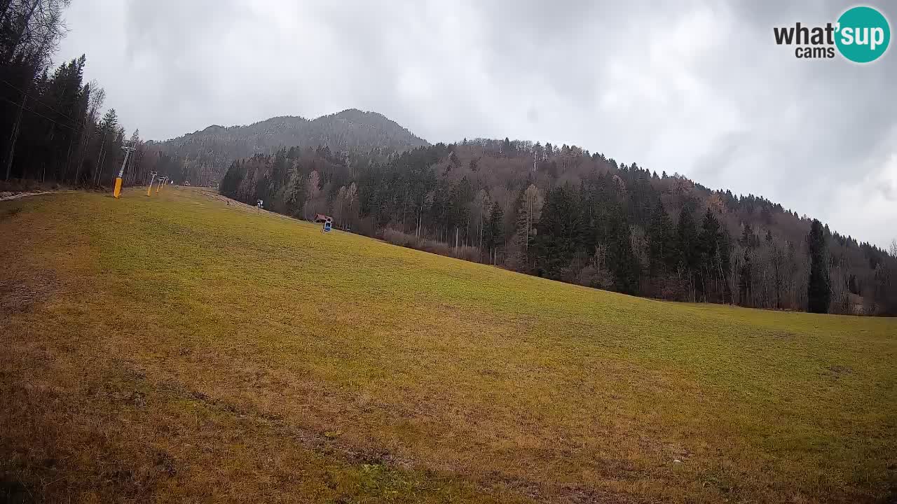 RTC Kranjska Gora | Brsnina