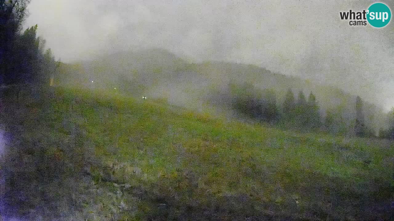 RTC Skigebiet Kranjska Gora | Brsnina