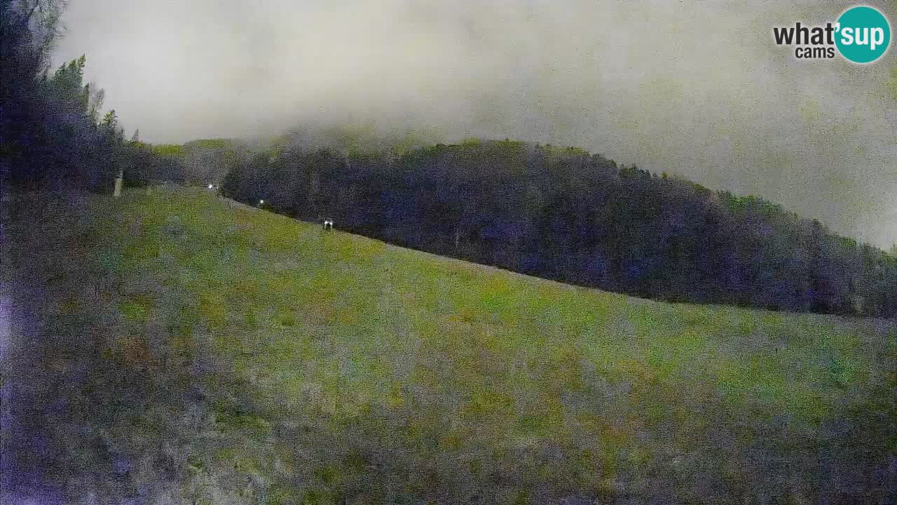 Kranjska Gora Station de ski | Brsnina