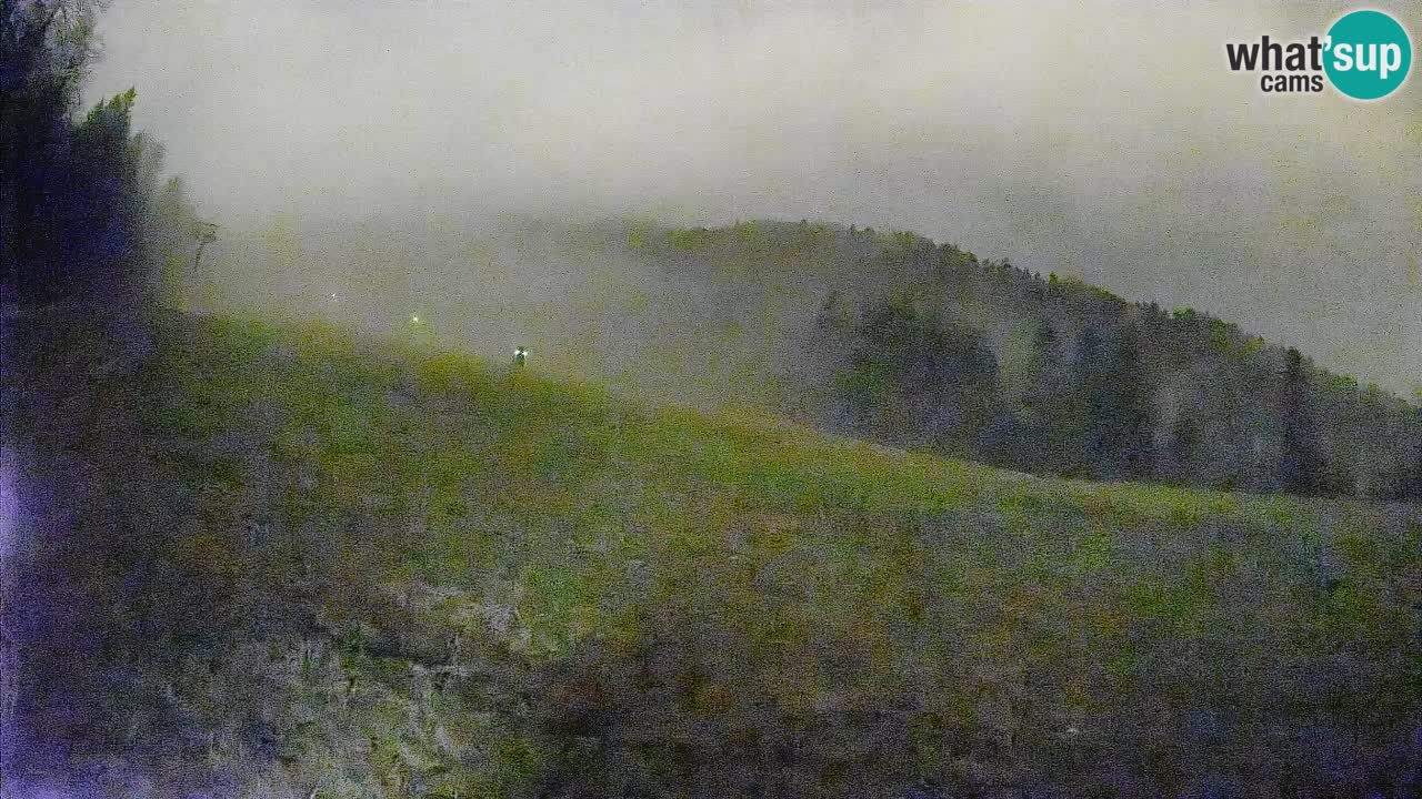 RTC Skigebiet Kranjska Gora | Brsnina