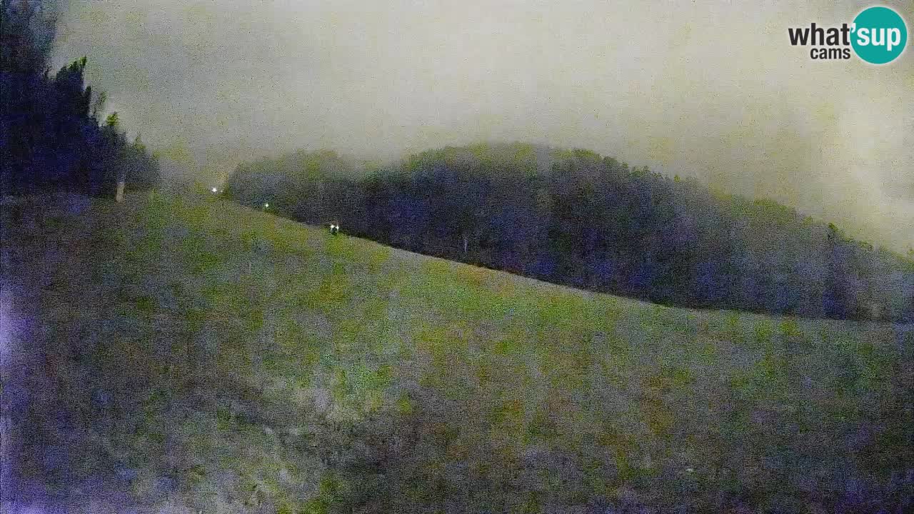 Esquí Kranjska Gora | Brsnina