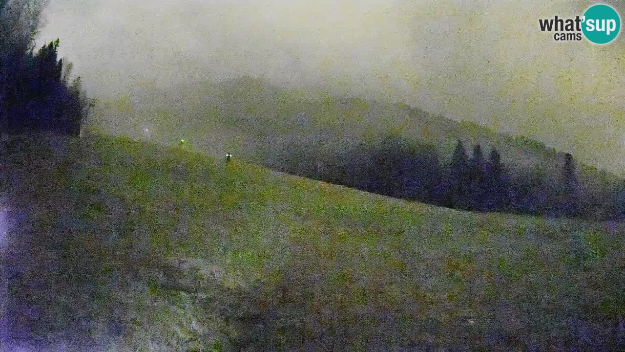 Kranjska Gora Station de ski | Brsnina