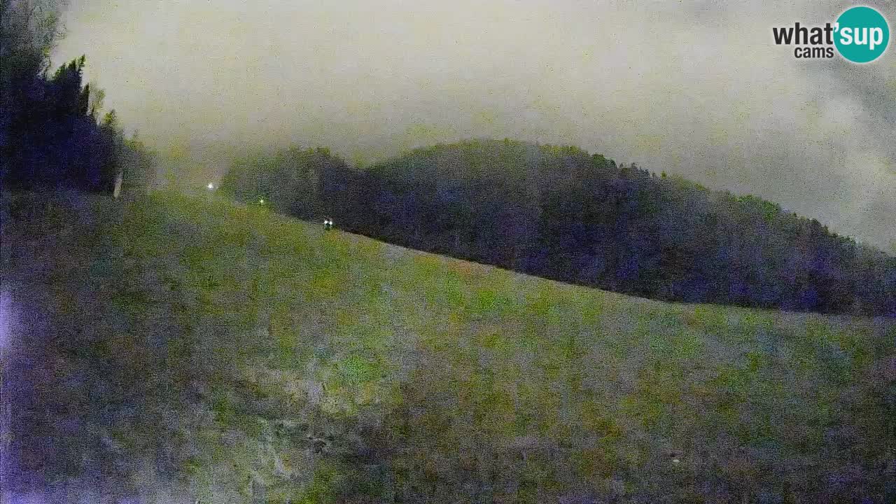 Ski Kranjska Gora | Brsnina