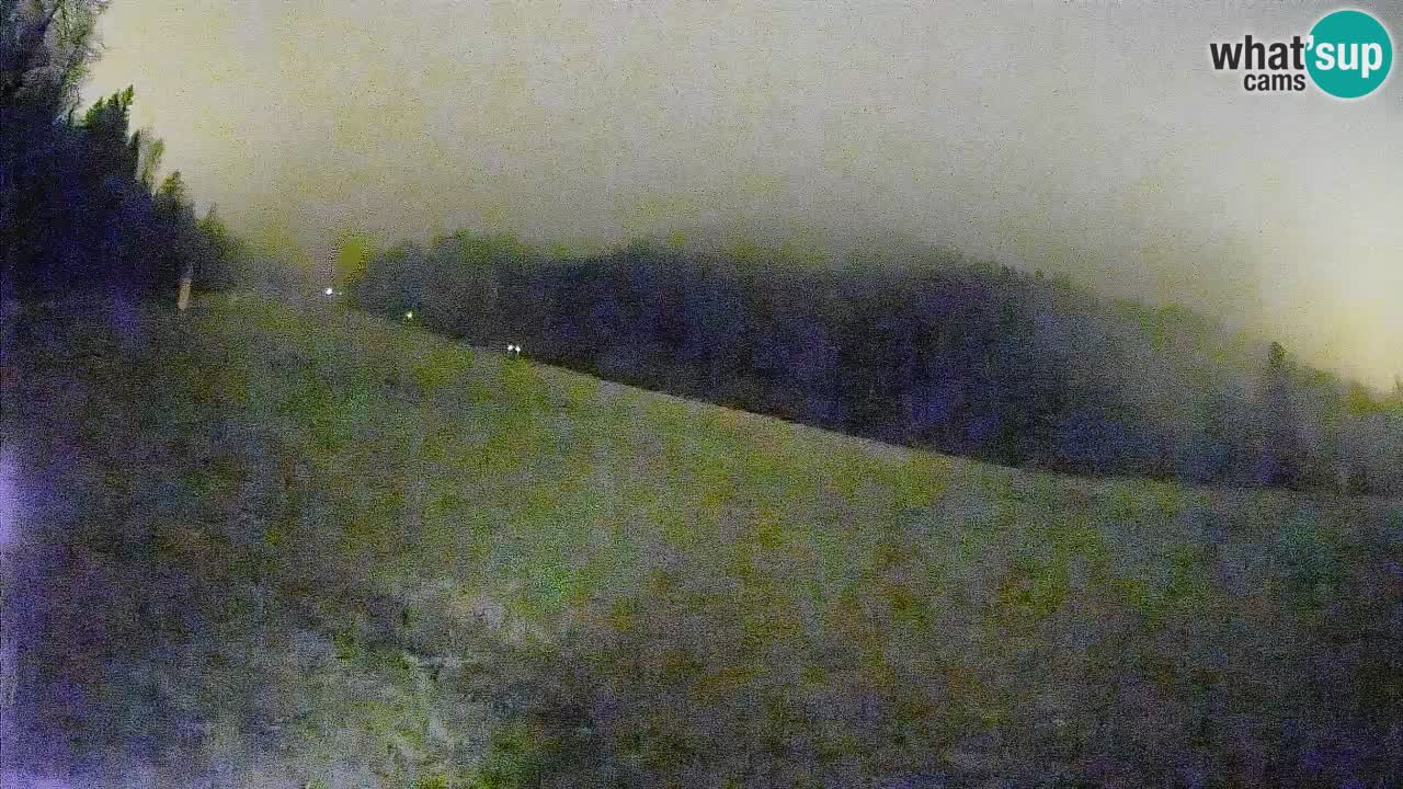 Ski Kranjska Gora | Brsnina