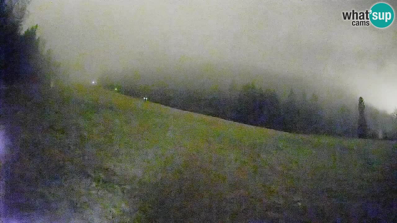 Ski Kranjska Gora | Brsnina