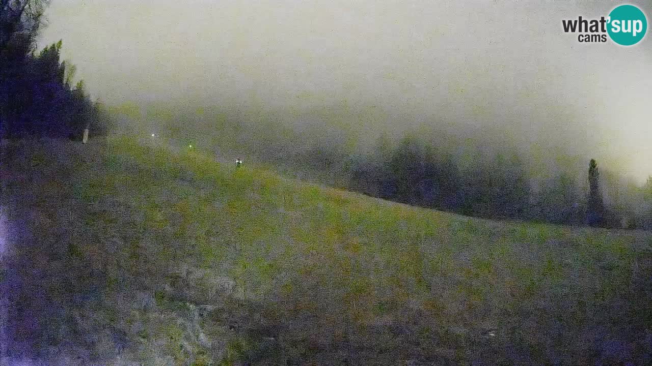 Ski Kranjska Gora | Brsnina