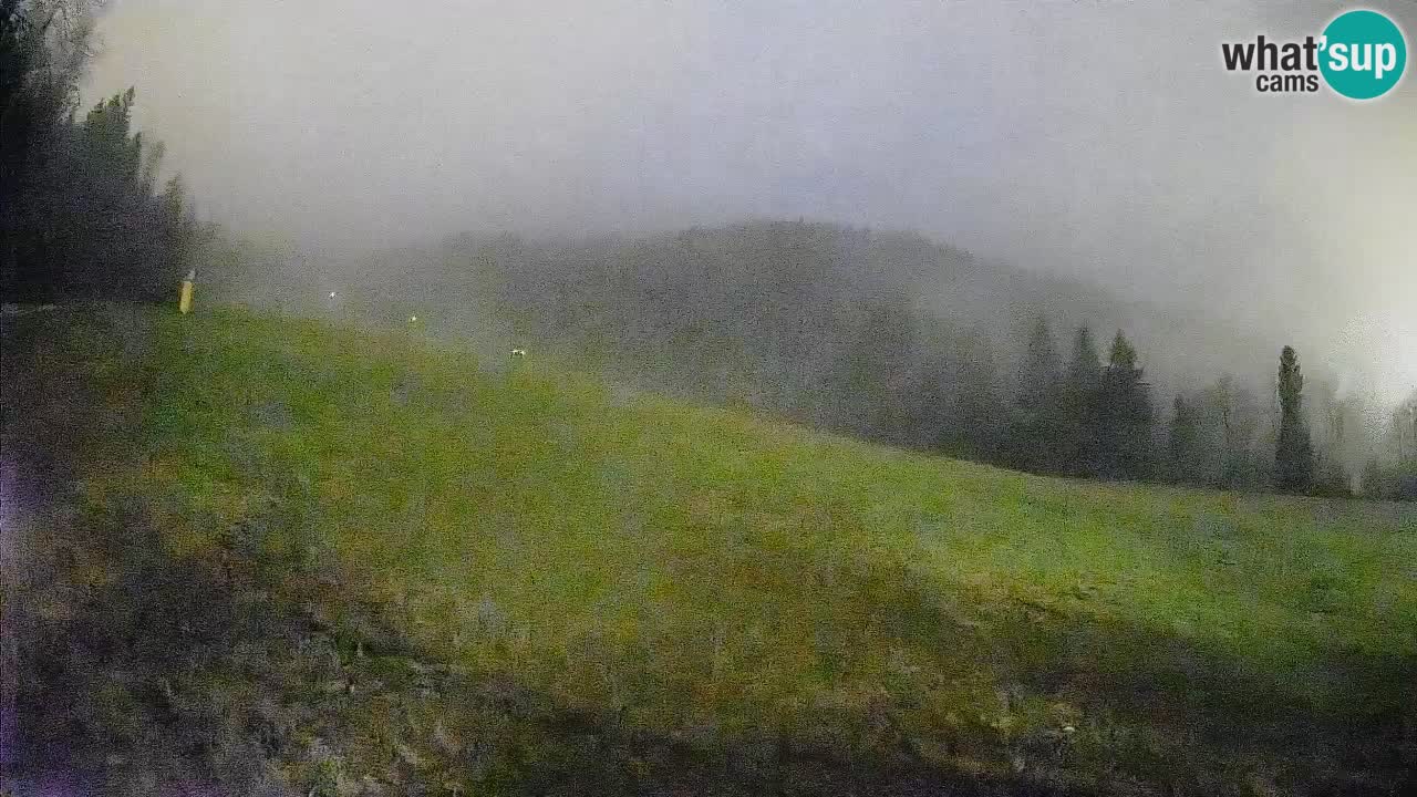 RTC Kranjska Gora | Brsnina