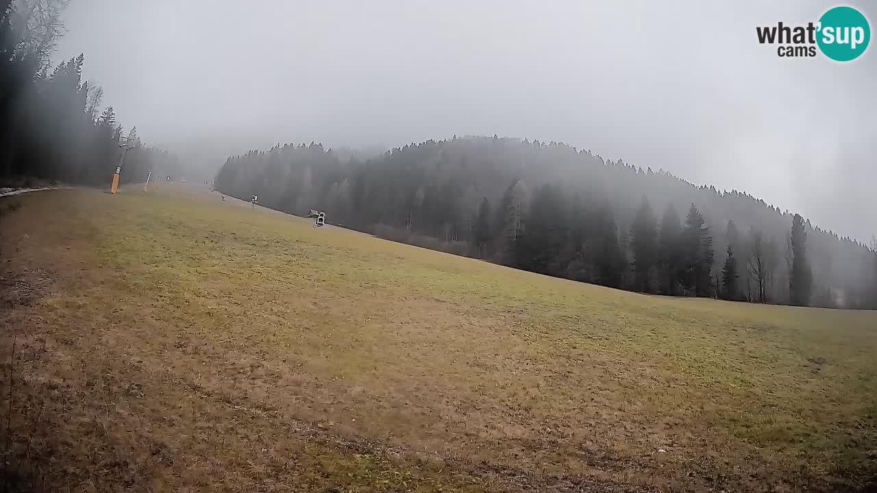 Esquí Kranjska Gora | Brsnina