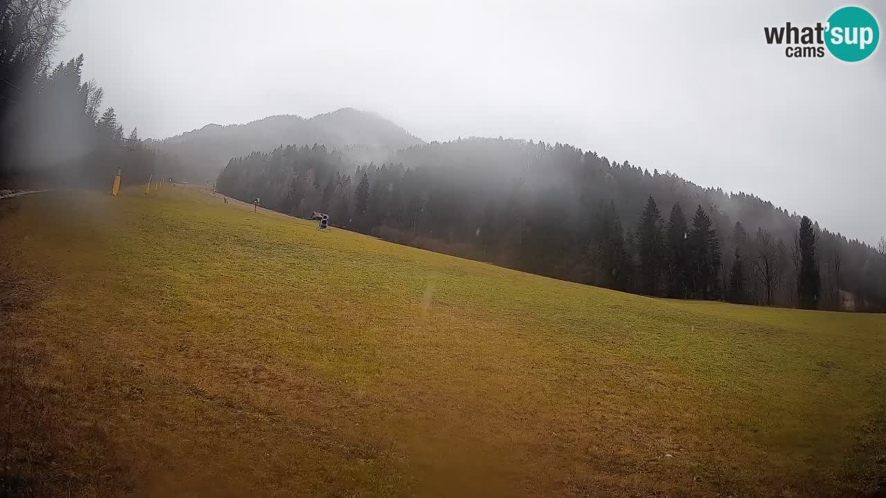 Kranjska Gora Station de ski | Brsnina