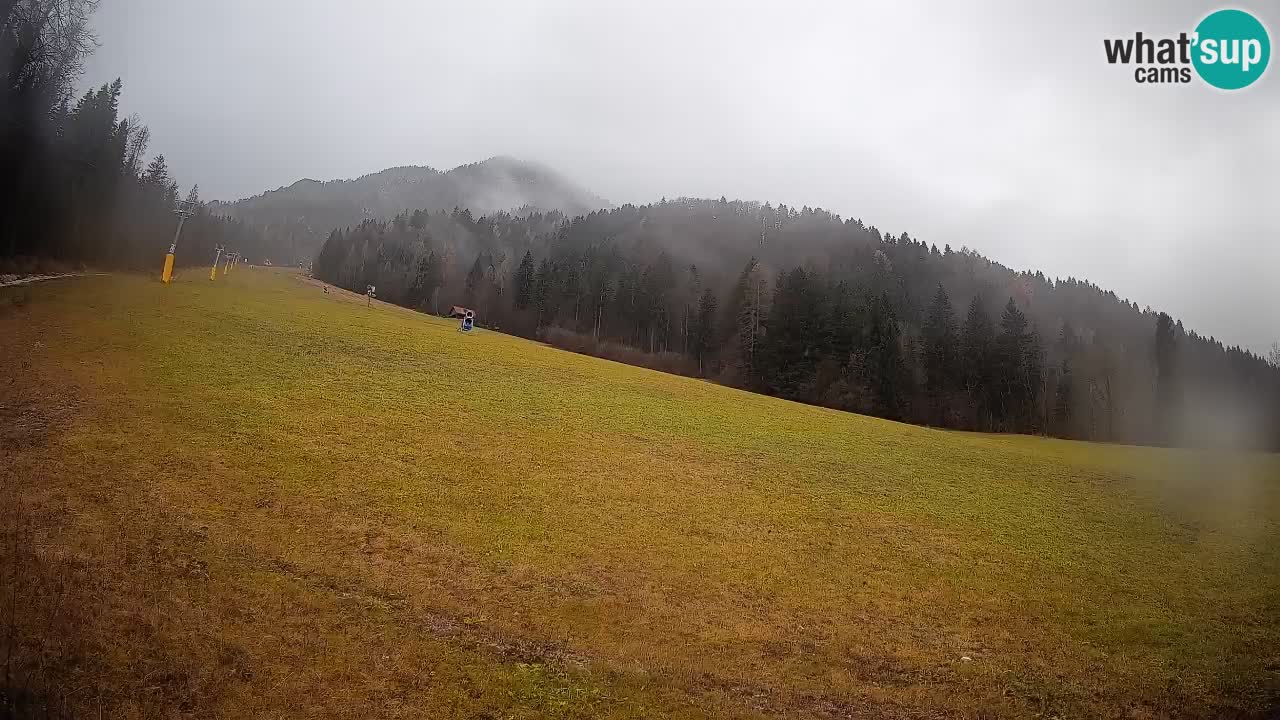 Ski Kranjska Gora | Brsnina