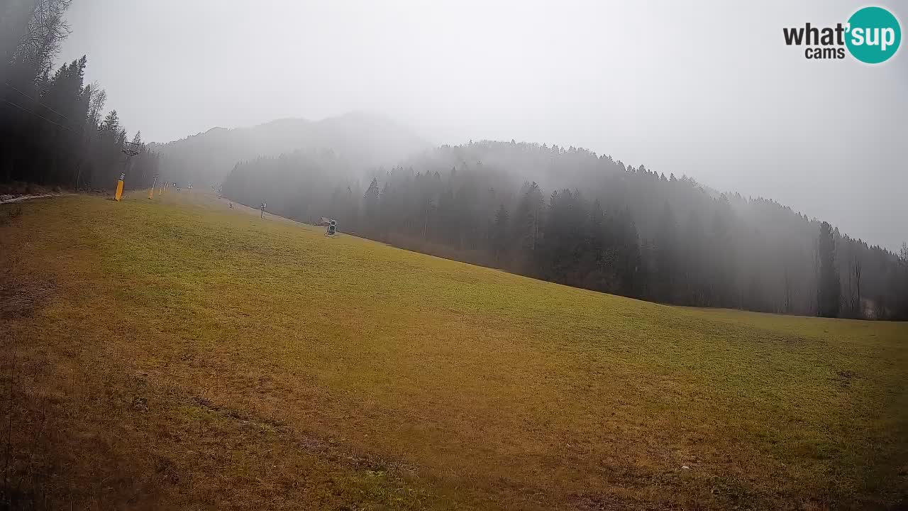 Esquí Kranjska Gora | Brsnina